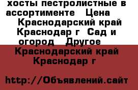 хосты пестролистные в ассортименте › Цена ­ 150 - Краснодарский край, Краснодар г. Сад и огород » Другое   . Краснодарский край,Краснодар г.